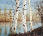 Rebecca McGoodwin Watercolor: Birches, 2005