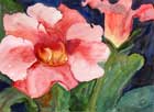 Rebecca McGoodwin Watercolor: Gloxinias 2000