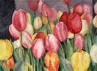 Rebecca McGoodwin Watercolor: Metropolitan tulips 2005
