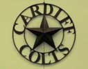 Cardiff Colts