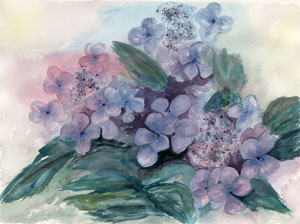 Rebecca McGoodwin Watercolor (Hydrangeas 2002)